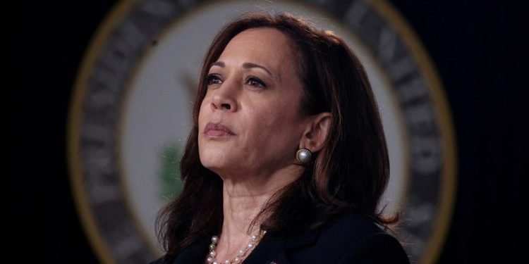 In one small town, critics and supporters alike ask who is Kamala Harris?