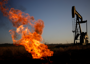 Climate justice group that trains federal judges accused of ‘corruptly influencing courts’