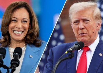 Harris re-energizes Black voters in key states, poll finds