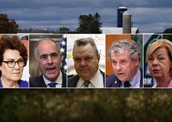 ‘Feel betrayed’: Top conservative group blasts vulnerable Dems on inflation in multimillion-dollar ad blitz