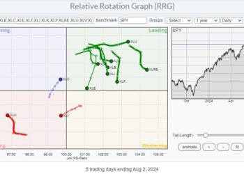 It’s Been a Long Time Mr Bear, Where Have You Been?