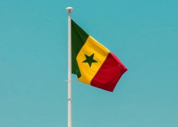 Senegal Halts Mining Along Falémé River to Combat Environmental Degradation