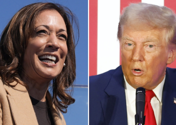 Allan Lichtman predicts Harris as 2024 winner because ‘Democrats got smart’ and did this