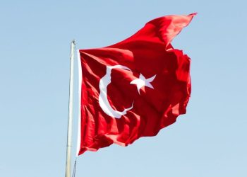 Turkey Eyes Chinese Partnership to Develop Rare Earths Deposits