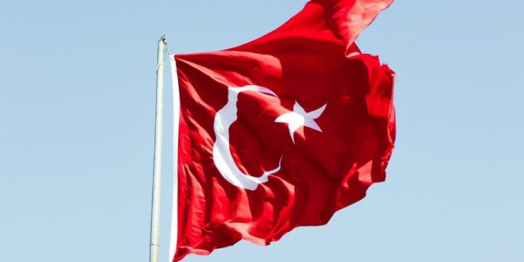 Turkey Eyes Chinese Partnership to Develop Rare Earths Deposits