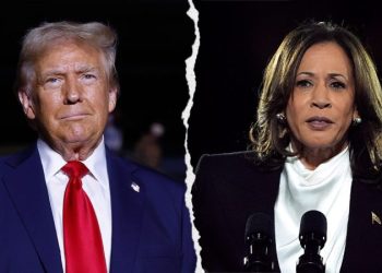 ‘Apprentice’ alumni, including season winner, support Trump in election’s closing days: ‘grateful’