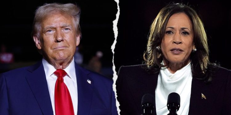 ‘Apprentice’ alumni, including season winner, support Trump in election’s closing days: ‘grateful’