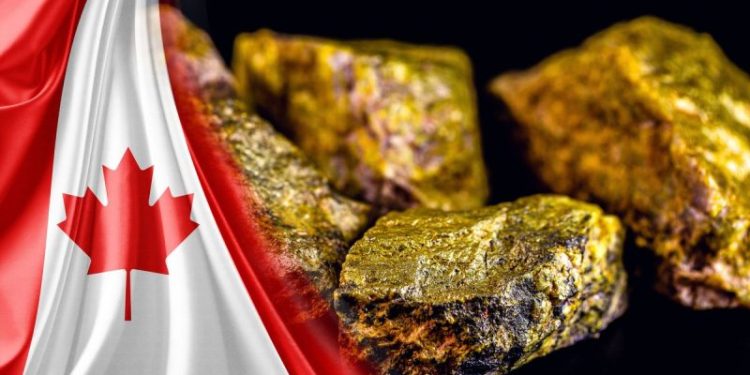 5 Best-performing Canadian Uranium Stocks of 2024