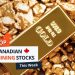Top 5 Canadian Mining Stocks This Week: American Lithium Charges Up 78 Percent