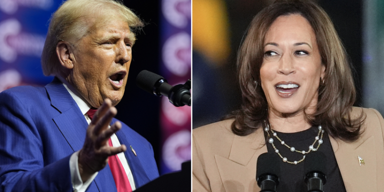 Trump merchandise outsells pro-Harris by striking margin, as Election Day draws near