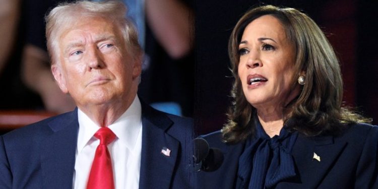 Trump, Harris locked in dead heat in 7 battleground states, poll finds: ‘Could not be closer’