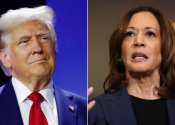 Trump wins Arizona to sweep swing states and secure 312 total electoral votes