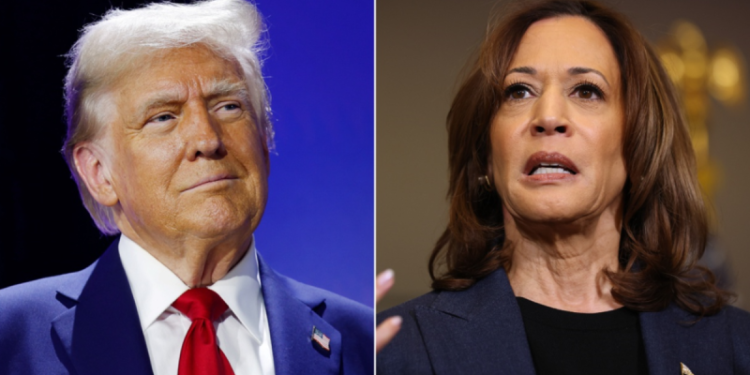 Trump wins Arizona to sweep swing states and secure 312 total electoral votes