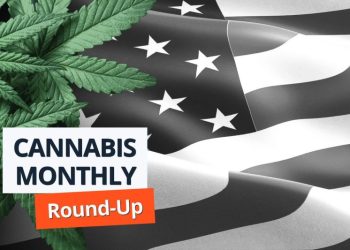 Cannabis Round-Up: Harris  to Push for Federal Legalization, DEA Choosing Witnesses for Rescheduling Trial