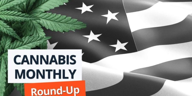 Cannabis Round-Up: Harris to Push for Federal Legalization, DEA Choosing Witnesses for Rescheduling Trial