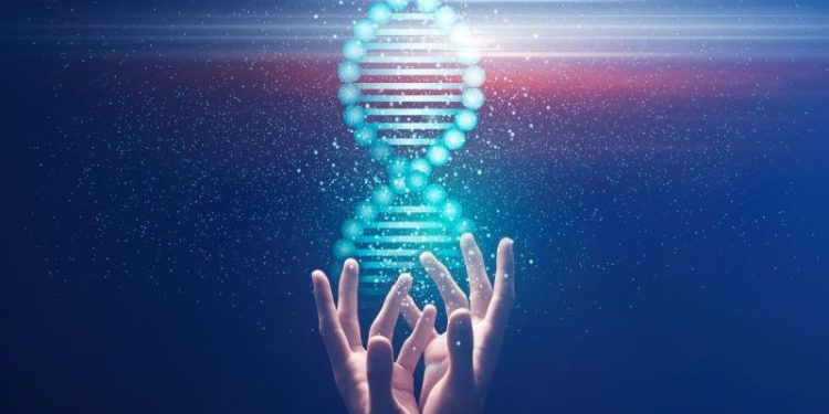 5 Biggest Biotechnology ETFs in 2024