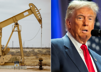 Expert touts Trump’s energy sector nominations, outlines hopes for administration agenda to spark energy boom
