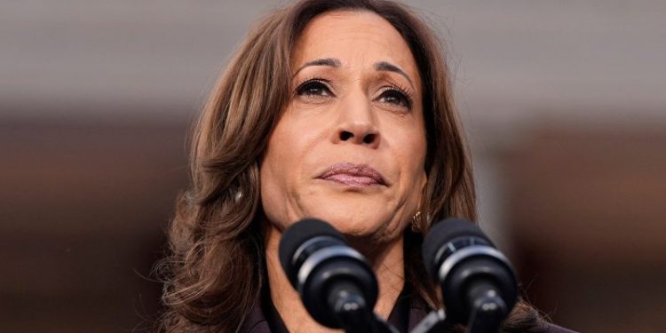 Dem Party blame game: Accusations fly as to who is responsible for Harris’ massive loss to Trump