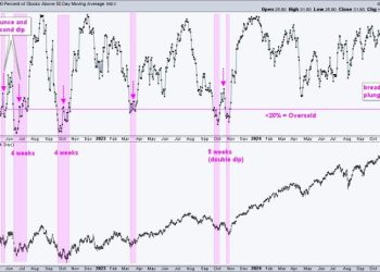 Is this Bounce a Robust Rebound or a Dead-Cat Bounce?