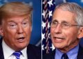 Fauci ripped over new paper criticizing Trump on coronavirus, promoting natural origin theory: ‘Embarrassment’