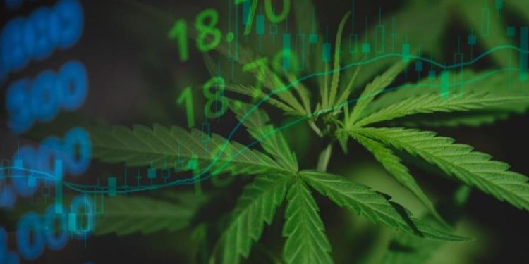 Cannabis Market 2024 Year-End Review