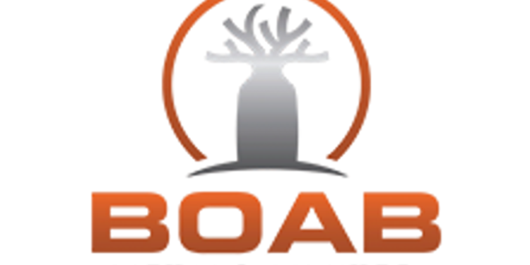 Boab Metals: Advancing Toward Near-Term Lead, Silver Production in Western Australia