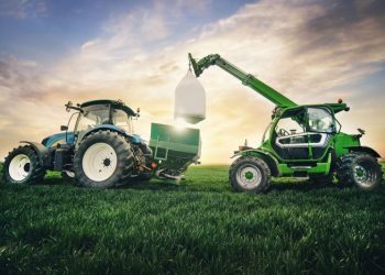 Potash Fertilizers: What’s the Difference Between SOP and MOP?