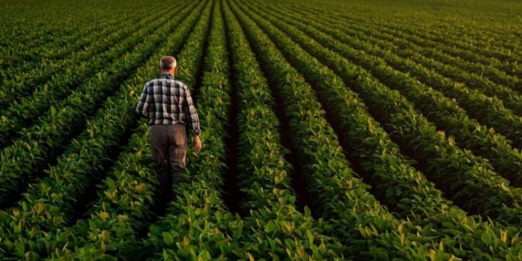 Agriculture Market Forecast: Top Trends for Agriculture in 2025