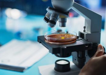 Biotech Market Forecast: Top Trends for Biotech in 2025