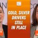 Maria Smirnova: Gold, Silver Price Drivers Still in Place, My Focus in 2025