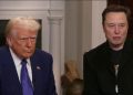 Musk opens up about dinner party that soured when Trump’s name was invoked: ‘Like methamphetamine and rabies’