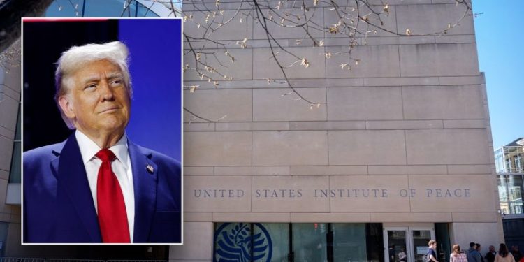 Judge denies embattled government-funded agency’s restraining order request against DOGE