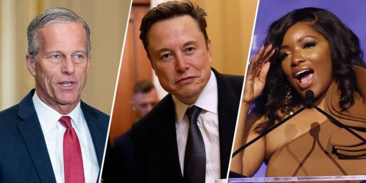 ‘American hero’ or ‘failure’: Elon Musk’s DOGE departure divides Capitol Hill