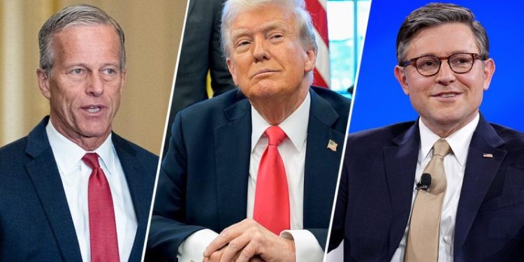 FLASHBACK: Musk accused Trump, GOP leaders of not wanting to cut spending — here’s where they said they would