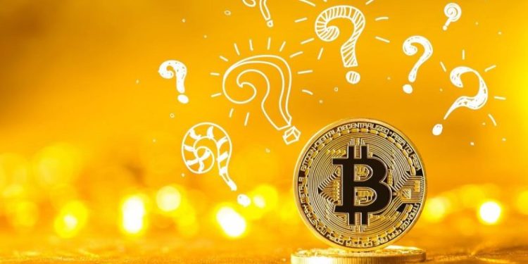 Crypto Market Update: ARK Picks Canadian Staking Partner, PayPal Unveils New Service