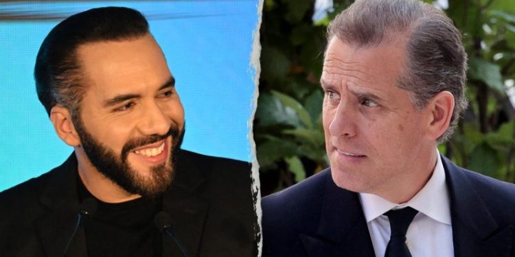 Salvadoran president responds to Hunter Biden’s invasion threat: What is he ‘sniffing’?