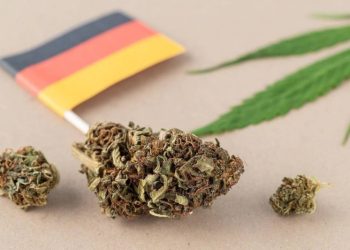 Germany’s Medical Cannabis Boom: Data-Driven Insights for Investors
